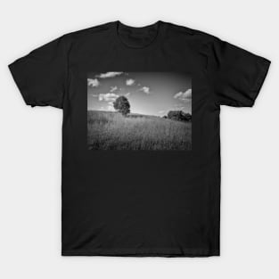 Lonely Tree landscape black and white photography T-Shirt